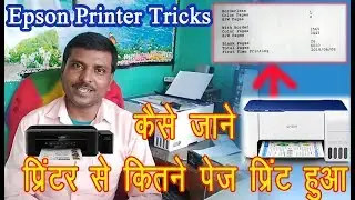 How to know, how many pages were printed in the Epson printer