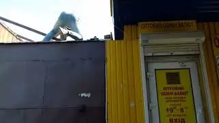 Чючёчек (2017)