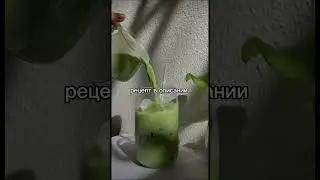 6 августа 2024 г.