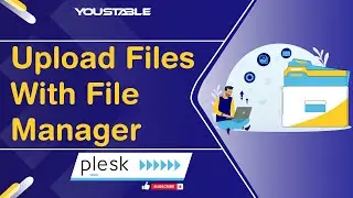 How to Upload Files via The Plesk File Manager | YouStable