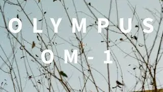 Olympus OM-1 - Camera Review