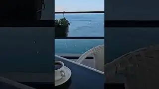 15 августа 2024 г.