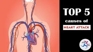 Warning Signs Of Heart Attack - Why heart attack take place?