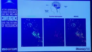 Improving neurological health outcomes of rural communities