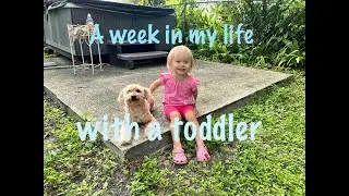 A week in my life with a toddler.  (organizing, bed time routine, dinner)