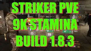 Striker PVE 9K Stamina Build Division 1.8.3