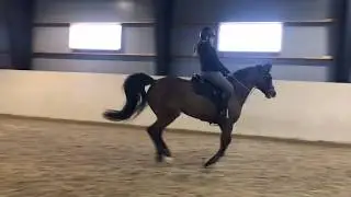 sprangtrening 13.03.19