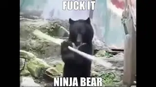 Shitpost Status