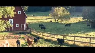 Indoosierana (FilmConvert contest/BMCC)