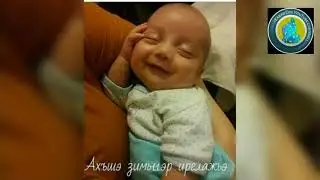 Адыгэ гушы1э к1эщ1хэр. Демотиваторхэр. Анекдотхэр сурэтым тету.