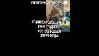 ❤️‍🩹 надеюсь найдётся
