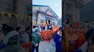 #trending #shorts #trending #trending #mahakal