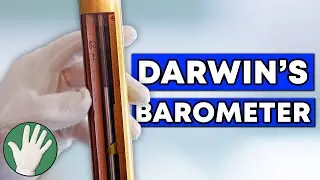 Darwin's Barometer - Objectivity 266