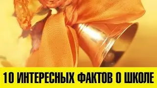 10 ИНТЕРЕСНЫХ ФАКТОВ О ШКОЛЕ