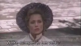 Zorro - The Gay Blade - Ships in the field