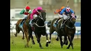 2002 VRC L K S Mackinnon Stakes ( Now Emirates Stakes )