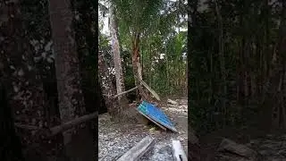 Sorotan 0.00 - 1.04 dari Belajar jahit baju,menjahit baju