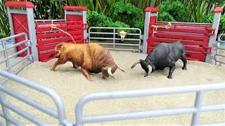 Bulls Fight/STOP MOTION/Tori/toros/touros DeQube
