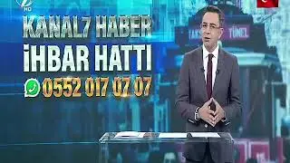 NUMARACI KÖPEK