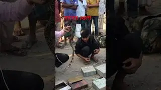 সাপেৱ খেলা! এমন সাপ কেউ কি কখন দেখেছো? ভয়ানোক সাপ? #shorts #youtubeshorts #viralvideo #nirobpagol24