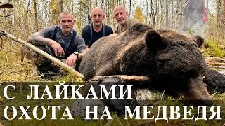КРУПНЫЙ МЕДВЕДЬ. Охота на медведя.