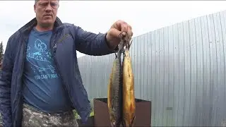 Засолка  рыбы для холодного копчения.