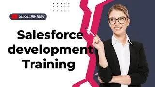 Session01 salesforce development training videos for beginners in hindi  #sfdcstart #salesforce