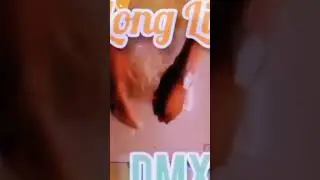 Number 1 - yo lYfe P dbm 22vizionz a P Film