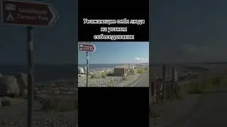 Типичное собеседование #shorts  #memes