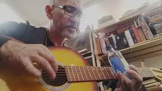 Cotton fields / 7-str Russian guitar