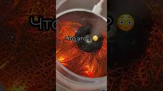Артикул на WB: 195626133 