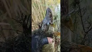 ловля огромных щук в канале,на блесну,живца,вертушку рыбалка лучшее