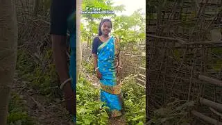 E SANGAT ...
