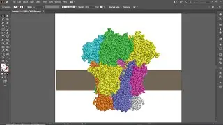 Importing a Protein Model from Pymol to Adobe Illustrator (2)