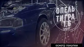 ТИГРА,Изучаем,обследуем,Опель тигра, АИГЕЛЬ, ПЫЯЛА, эксклюзив,контент, 2024год