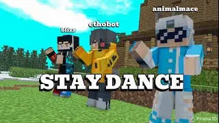 stay dance with @Ethobot and @animalmace