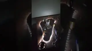 хоть раз такое видели?