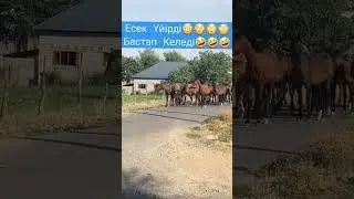 Бұған не дейсіздер😅. Арнаға тіркел, лайк бас.