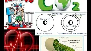 От чего растут мышцы. Гибель митохондрий. Некроз. Рабдомиолиз. Инфаркт