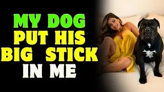 I Was Helping The Dog With This When My Husband Found Out | A True Infidelity Story