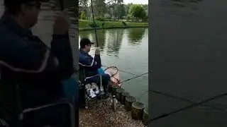 Карпик