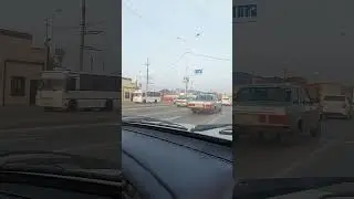 Даймохк! Грозный! 💗💗💗 