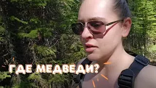 Где медведи и лоси? | Исторические места в Монате