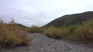 По камням. Ручьи.
