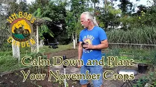 Calm Down and Plant Your November Crops