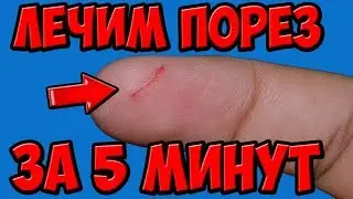 Как Быстро Залечить Порез или Рану