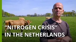 The Netherlands weighs up its future amid farmer protests and dying ecosystems