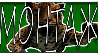 К ТАКОМУ МЕНЯ ЖИЗНЬ НЕ ГОТОВИЛА | GREEN HELL READY OR NOT PHASMOPHOBIA |