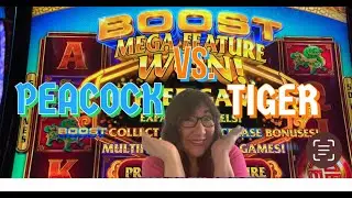 THIRSTY THURSDAY-MEGA FEATURE BATTLE/PEACOCK 🦚VS TIGER🐅Which One Is Your Favorite Version & Bet?