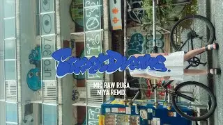 ZEEBRA - Street Dreams / MIYA (MIC RAW RUGA) REMIX